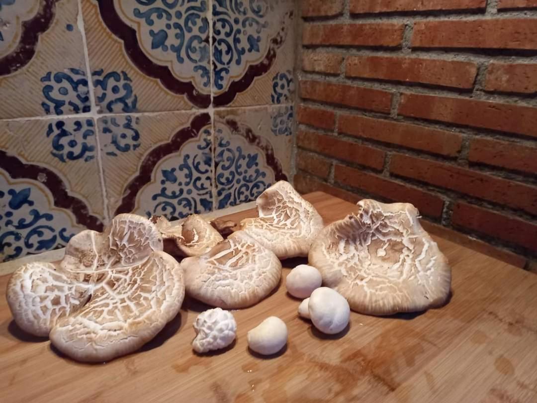 칼타부투로 Casa Della Nonna 빌라 외부 사진